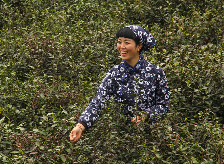 女王合集4